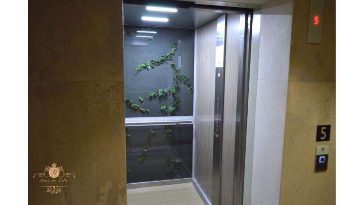 Flori De Iulie Apartamente Braşov Extérieur photo